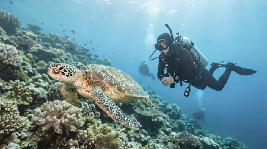 Scuba diving at the renowned Sipadan Island