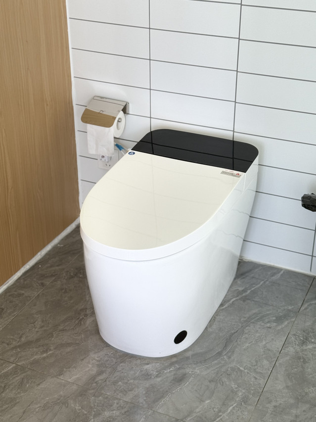 Modern white smart toilet with black lid at Sicily Resort